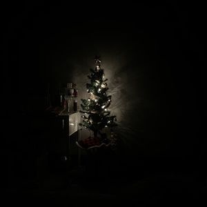 Meet your Posher, Ella